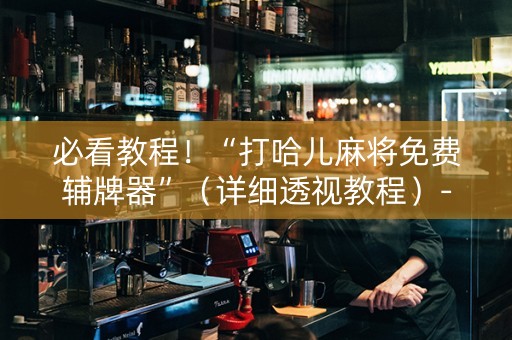 必看教程！“打哈儿麻将免费辅牌器”（详细透视教程）-哔哩哔哩