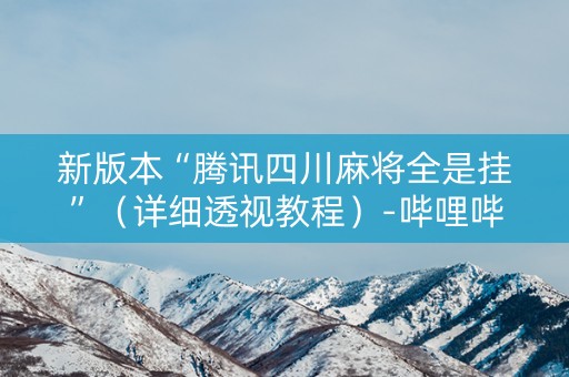 新版本“腾讯四川麻将全是挂”（详细透视教程）-哔哩哔哩