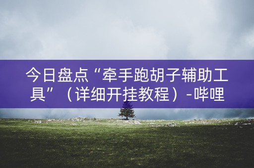 今日盘点“牵手跑胡子辅助工具”（详细开挂教程）-哔哩哔哩