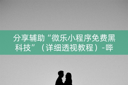 分享辅助“微乐小程序免费黑科技”（详细透视教程）-哔哩哔哩