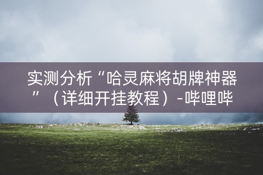实测分析“哈灵麻将胡牌神器”（详细开挂教程）-哔哩哔哩