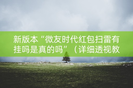 新版本“微友时代红包扫雷有挂吗是真的吗”（详细透视教程）-哔哩哔哩