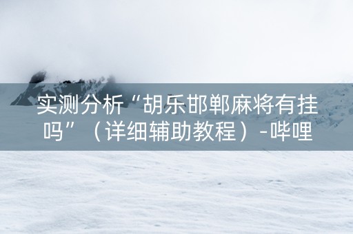 实测分析“胡乐邯郸麻将有挂吗”（详细辅助教程）-哔哩哔哩