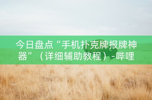 今日盘点“手机扑克牌报牌神器”（详细辅助教程）-哔哩哔哩