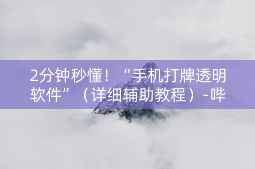 2分钟秒懂！“手机打牌透明软件”（详细辅助教程）-哔哩哔哩