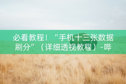必看教程！“手机十三张数据刷分”（详细透视教程）-哔哩哔哩