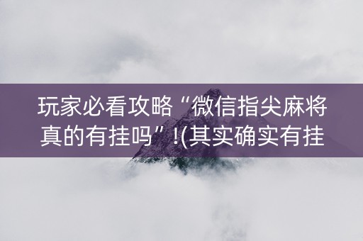玩家必看攻略“微信指尖麻将真的有挂吗”!(其实确实有挂)-知乎