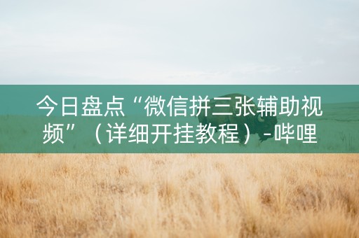 今日盘点“微信拼三张辅助视频”（详细开挂教程）-哔哩哔哩