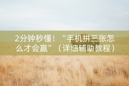 2分钟秒懂！“手机拼三张怎么才会赢”（详细辅助教程）-哔哩哔哩