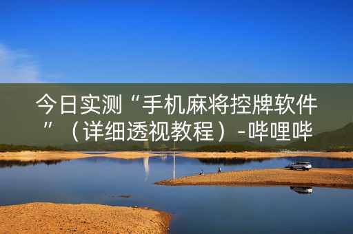 今日实测“手机麻将控牌软件”（详细透视教程）-哔哩哔哩