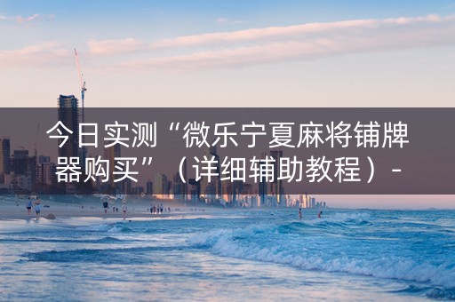 今日实测“微乐宁夏麻将铺牌器购买”（详细辅助教程）-哔哩哔哩