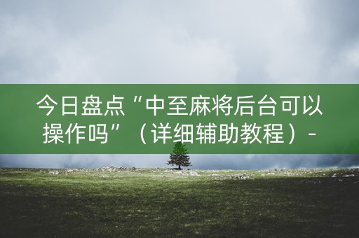 今日盘点“中至麻将后台可以操作吗”（详细辅助教程）-哔哩哔哩