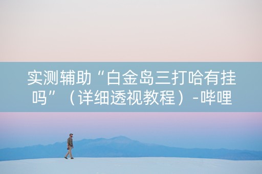 实测辅助“白金岛三打哈有挂吗”（详细透视教程）-哔哩哔哩