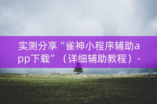 实测分享“雀神小程序辅助app下载”（详细辅助教程）-哔哩哔哩