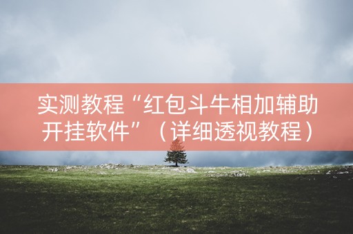 实测教程“红包斗牛相加辅助开挂软件”（详细透视教程）-哔哩哔哩