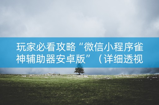 玩家必看攻略“微信小程序雀神辅助器安卓版”（详细透视教程）-哔哩哔哩