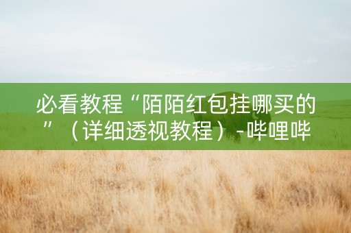 必看教程“陌陌红包挂哪买的”（详细透视教程）-哔哩哔哩