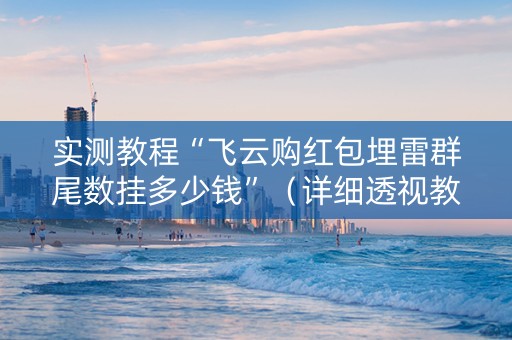 实测教程“飞云购红包埋雷群尾数挂多少钱”（详细透视教程）-哔哩哔哩