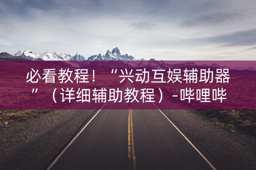 必看教程！“兴动互娱辅助器”（详细辅助教程）-哔哩哔哩