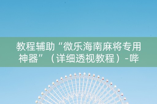 教程辅助“微乐海南麻将专用神器”（详细透视教程）-哔哩哔哩