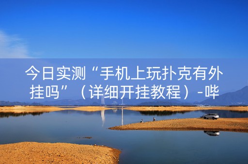 今日实测“手机上玩扑克有外挂吗”（详细开挂教程）-哔哩哔哩