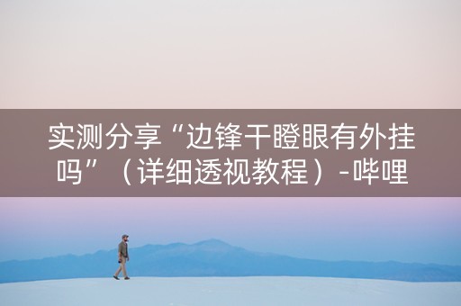 实测分享“边锋干瞪眼有外挂吗”（详细透视教程）-哔哩哔哩