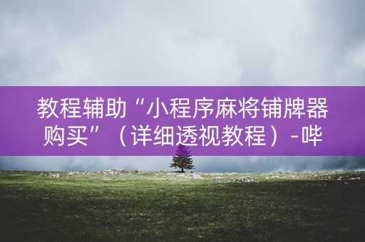 教程辅助“小程序麻将铺牌器购买”（详细透视教程）-哔哩哔哩