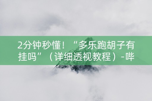 2分钟秒懂！“多乐跑胡子有挂吗”（详细透视教程）-哔哩哔哩