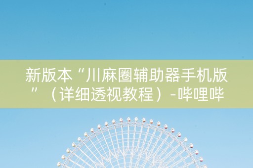 新版本“川麻圈辅助器手机版”（详细透视教程）-哔哩哔哩