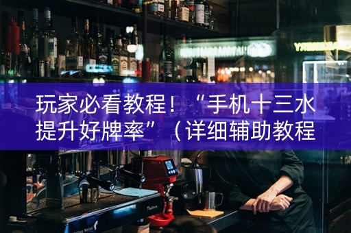 玩家必看教程！“手机十三水提升好牌率”（详细辅助教程）-哔哩哔哩