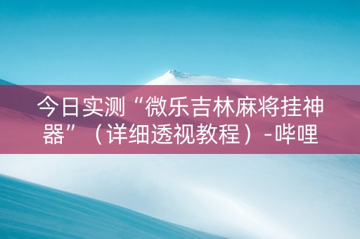 今日实测“微乐吉林麻将挂神器”（详细透视教程）-哔哩哔哩