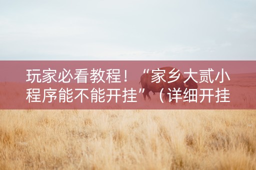 玩家必看教程！“家乡大贰小程序能不能开挂”（详细开挂教程）-哔哩哔哩
