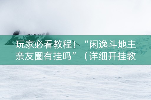 玩家必看教程！“闲逸斗地主亲友圈有挂吗”（详细开挂教程）-哔哩哔哩