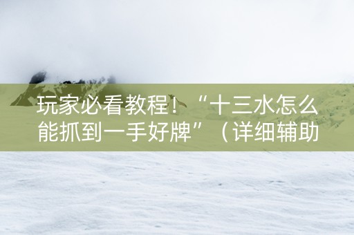 玩家必看教程！“十三水怎么能抓到一手好牌”（详细辅助教程）-哔哩哔哩