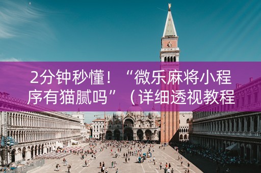 2分钟秒懂！“微乐麻将小程序有猫腻吗”（详细透视教程）-哔哩哔哩