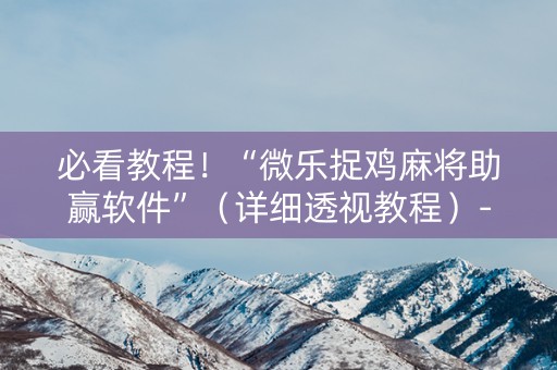 必看教程！“微乐捉鸡麻将助赢软件”（详细透视教程）-哔哩哔哩
