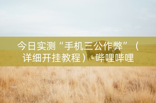 今日实测“手机三公作弊”（详细开挂教程）-哔哩哔哩