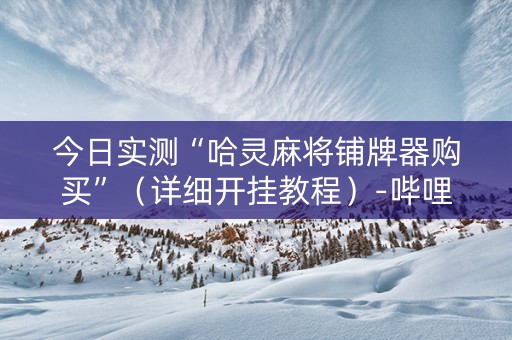 今日实测“哈灵麻将铺牌器购买”（详细开挂教程）-哔哩哔哩