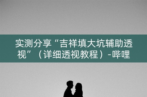 实测分享“吉祥填大坑辅助透视”（详细透视教程）-哔哩哔哩