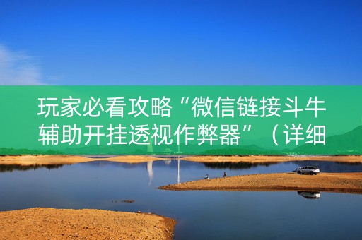 玩家必看攻略“微信链接斗牛辅助开挂透视作弊器”（详细透视教程）-哔哩哔哩