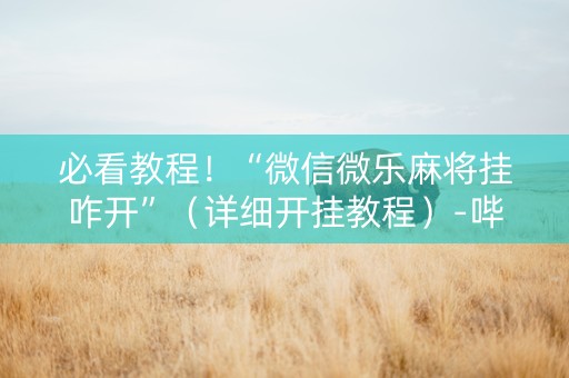 必看教程！“微信微乐麻将挂咋开”（详细开挂教程）-哔哩哔哩