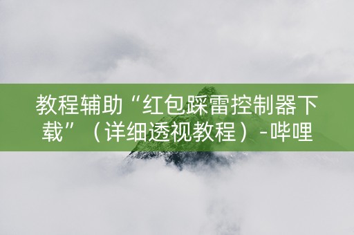 教程辅助“红包踩雷控制器下载”（详细透视教程）-哔哩哔哩