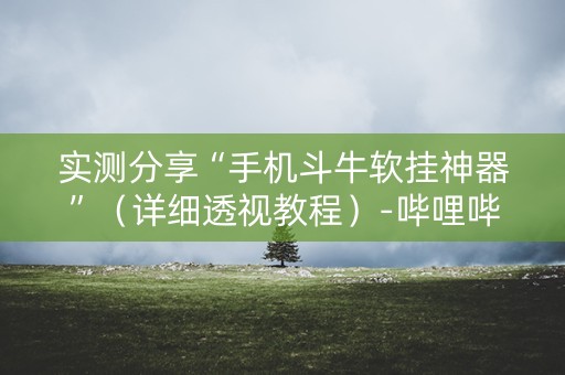 实测分享“手机斗牛软挂神器”（详细透视教程）-哔哩哔哩