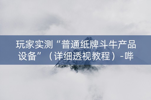 玩家实测“普通纸牌斗牛产品设备”（详细透视教程）-哔哩哔哩
