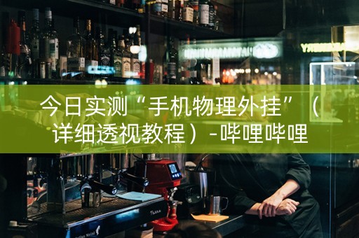 今日实测“手机物理外挂”（详细透视教程）-哔哩哔哩