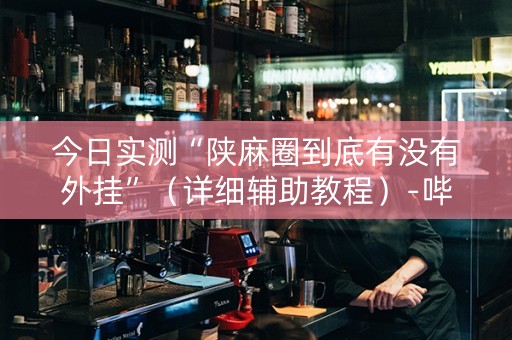 今日实测“陕麻圈到底有没有外挂”（详细辅助教程）-哔哩哔哩