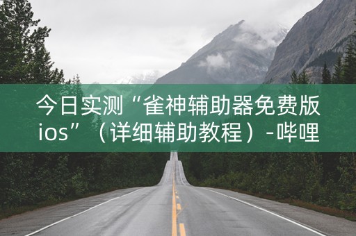 今日实测“雀神辅助器免费版ios”（详细辅助教程）-哔哩哔哩