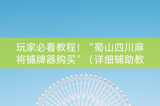 玩家必看教程！“蜀山四川麻将铺牌器购买”（详细辅助教程）-哔哩哔哩