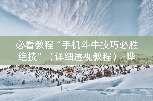必看教程“手机斗牛技巧必胜绝技”（详细透视教程）-哔哩哔哩