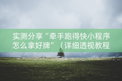实测分享“牵手跑得快小程序怎么拿好牌”（详细透视教程）-哔哩哔哩